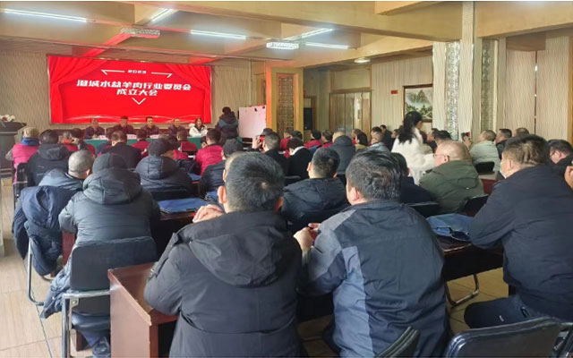 02会场澄城.jpg